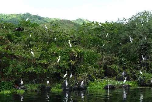 Круиз по озеру Таал