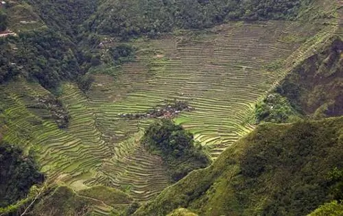 Рисовые террасы Батад от Lon&Queta