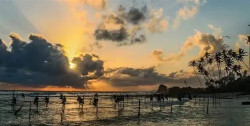 Чем заняться в Мириссе