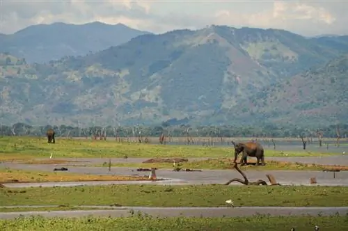 Национальный парк Удавалаве, автор Пьер Андре Леклерк, Wikipedia CC