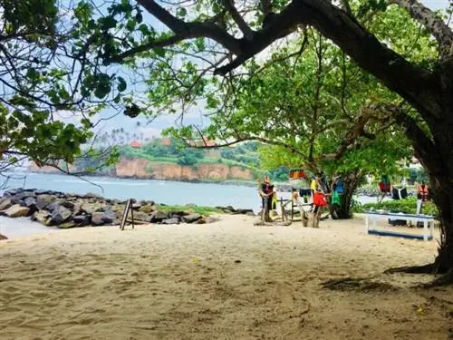 Джангл-Бич Велигама, фото со страницы Turtle Bay Activity на Facebook