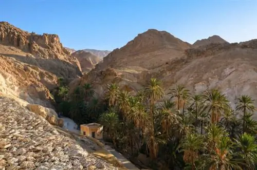 Оазис в пустыне Сахара рядом с разрушенным поселением, Чебика, Тунис, фото через Depositphotos