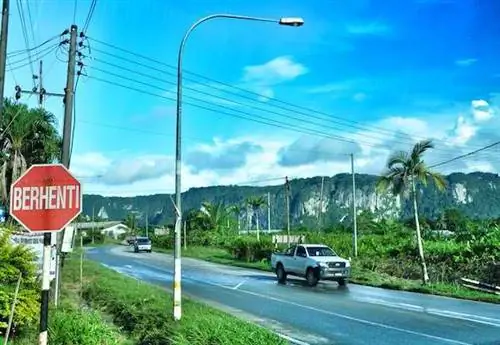 Известняковая скала в национальном парке Ниах