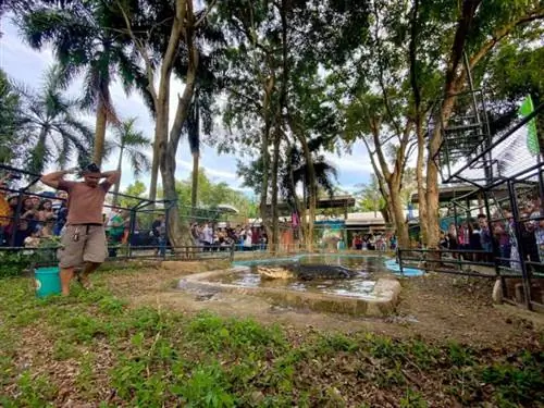 Парк крокодилов и зоопарк Давао