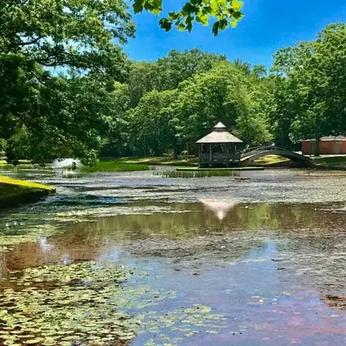 Байрон-Лейк-Парк