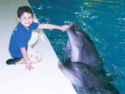 Дубайский дельфинарий