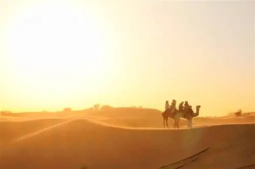 Список желаний: 10 лучших развлечений в Дубае, ОАЭ