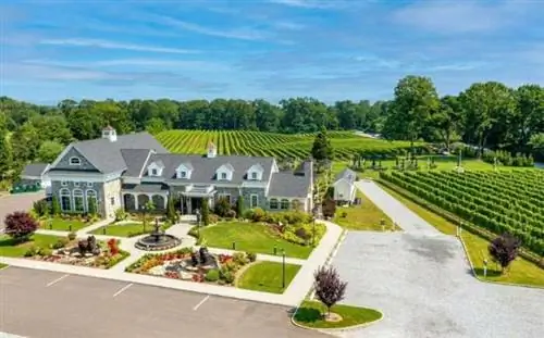 Виноградники Дель Вино