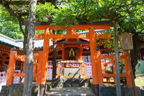Храм Касуга Тайся, фото через Depositphotos Храм Касуга Тайся, фото через Depositphotos