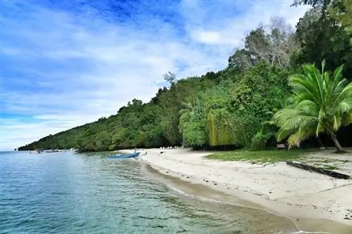 Остров Сапи