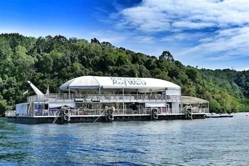 Мир рифов Борнео