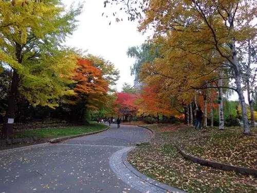 Парк Накадзима, автор: redlegsfan21, Wikimedia cc.