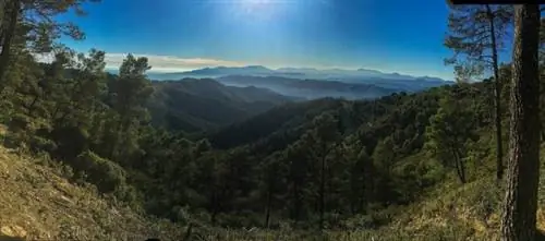 Природный парк Монтес-де-Малага, автор: Маркос Кортес Троман, Wikipedia CC