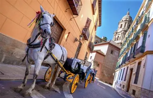 Лошадь и повозка на улицах города в Малаге, Испания, фото через Depositphotos