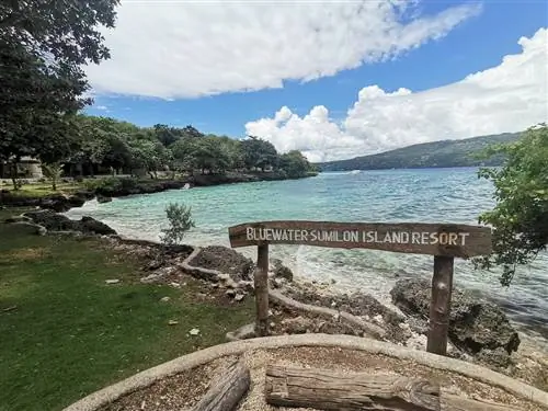 HSMA запускает онлайн-продажу третьего сентября