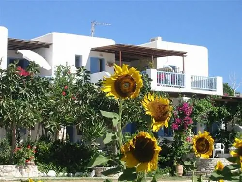 Полдень в Дриос-Паросе, автор brunobarbato, Wikipedia cc.