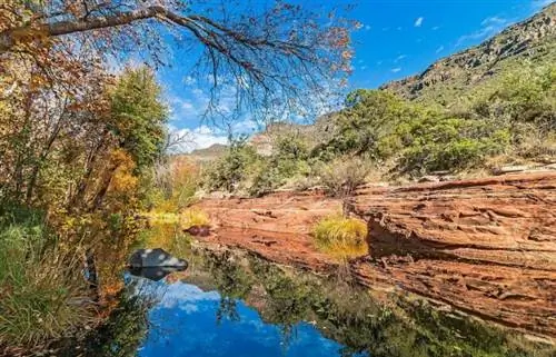 Оук-Крик, протекающий через каньон Оук-Крик в Седоне, штат Аризона, с яркими осенними цветами и отражениями. Автор Рэй Редстоун через Wikipedia cc.