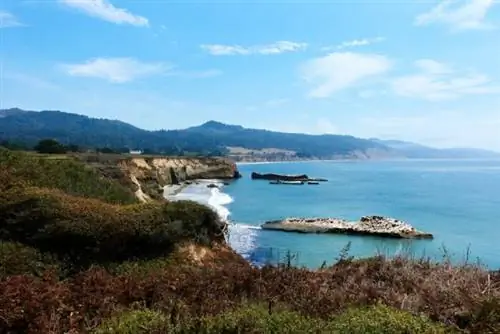 Государственный парк Уайлдер-Ранч, Кост-роуд, Санта-Крус, Калифорния, автор: Саймон Харри через Unsplash