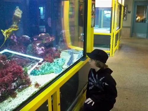 Центр морских исследований Сеймура