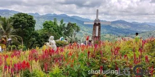 Сад Сирао Себу