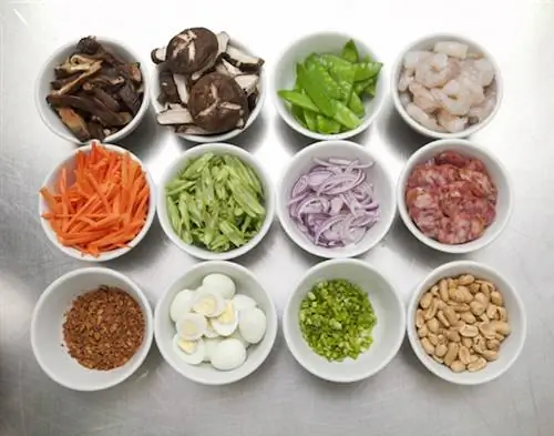 Панцит Ингредиенты