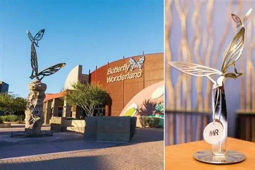 Страна чудес бабочек