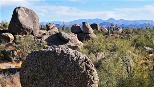 Топ-12 лучших развлечений в Скоттсдейле, штат Аризона