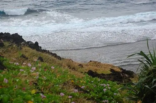 Утес острова Сабтанг