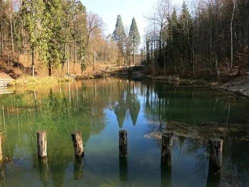 Walcheweiher, автор: Tschubby, Wikipedia cc