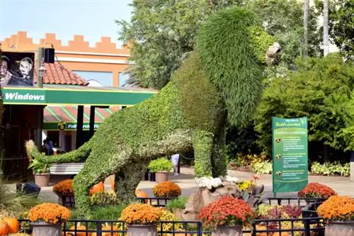 Топиарий льва в Busch Gardens, фото через Depositphotos