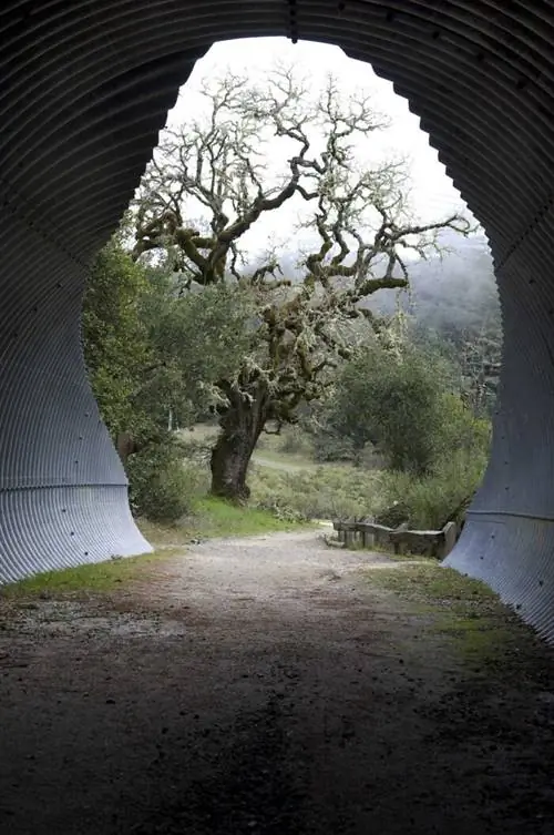Туннель Bay Area Ridge Trail к альпийскому озеру, Джоэл Хеннер через Wikipedia CC