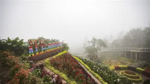 На этапе Себу была прогулка по Бувакан-ни-Алехандра, знаменитому саду площадью 700 квадратных метров, в котором растет почти 200 видов растений и цветов, расположенному вдоль Трансцентрального шоссе Себу.