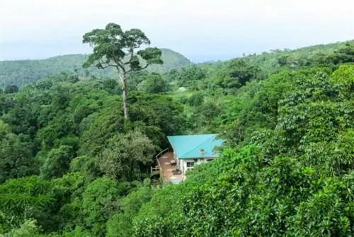 Peaceful Forest Haven 3 BR - Бангконг Кахой-Вэлли Проживание