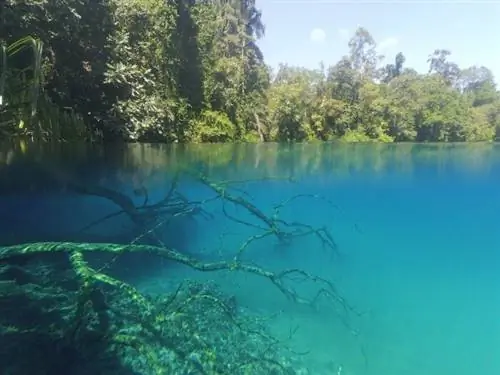Озеро Лабуан-Цермин, автор Ризки Приманто, Wikipedia cc.