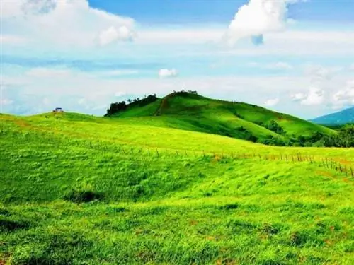 Холм Римпи в Пелаихари, автор: Джеджак Лангка через FB