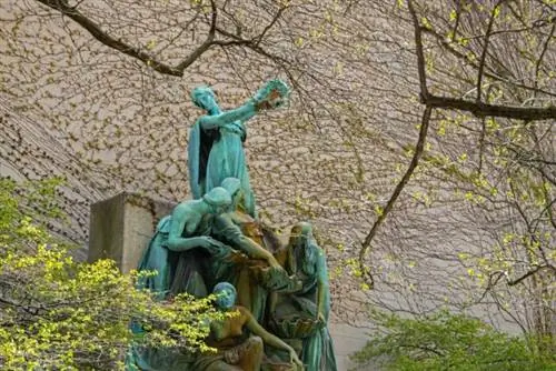 Чикагский институт искусств Уолтера Мартина через Unsplash