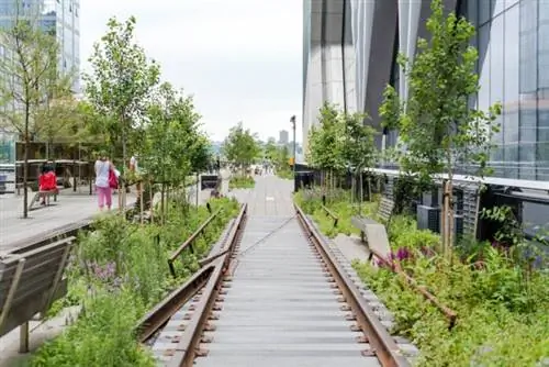 The High Line New York, автор Элизабет Виллалта через Unsplash