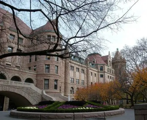 Американский музей естественной истории через Pixabay