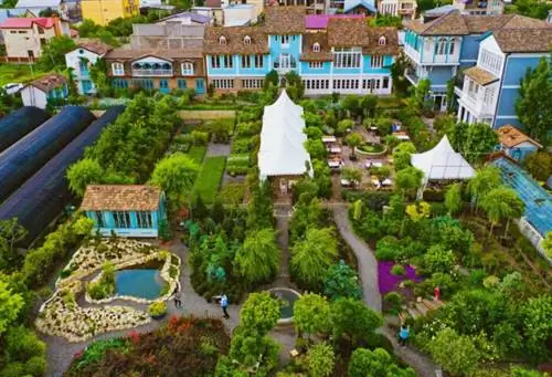 Гардения Шеварднадзе