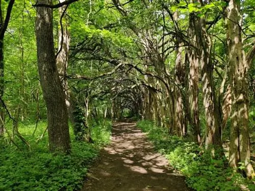 Метропарки Файв-Риверс