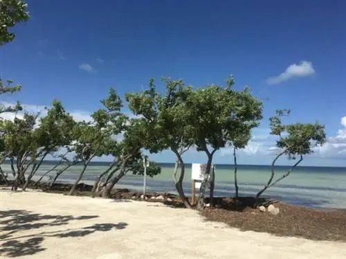 Airbnb Жилье для отпуска Исламорада с бассейном и рядом с пляжем