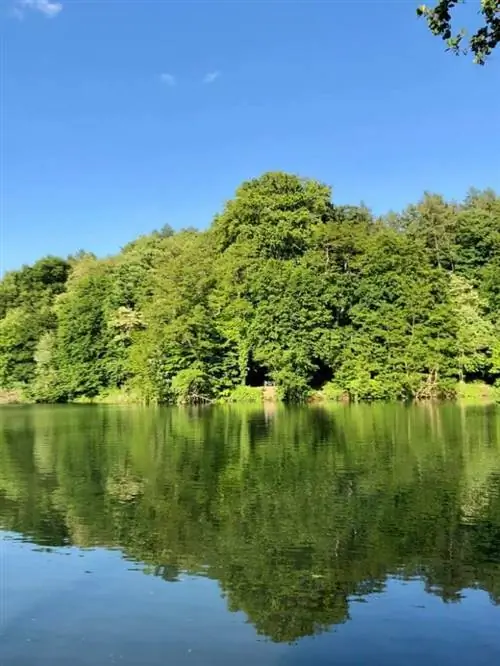 Зевенброннен, Анита Денайер через Facebook