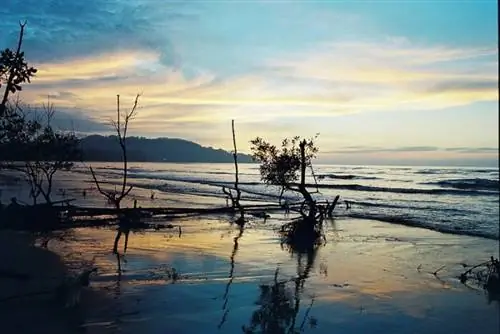 Таман Гелора, автор Зайни Абдулла, Flickr CC