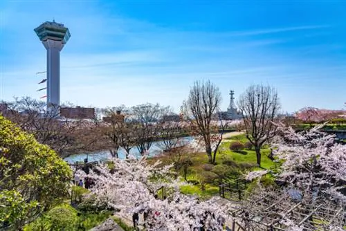 Башня парка Горёкаку весной, фото через Depositphotos