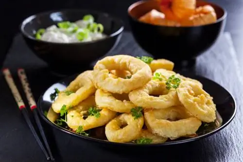 Фото жареных кальмаров через Depositphotos