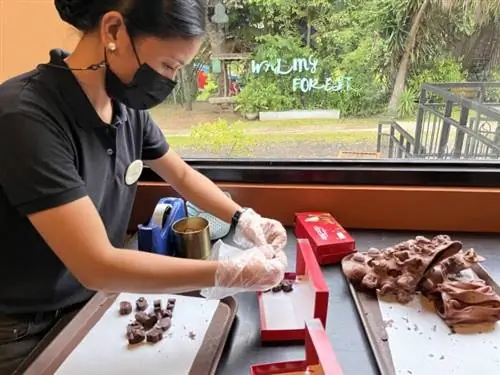 Малагосская шоколадная фабрика