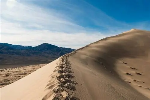 Дюны Келсо в заповеднике Мохаве, фото с Wikimedia cc