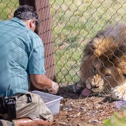 Зоопарк Фресно Чаффи