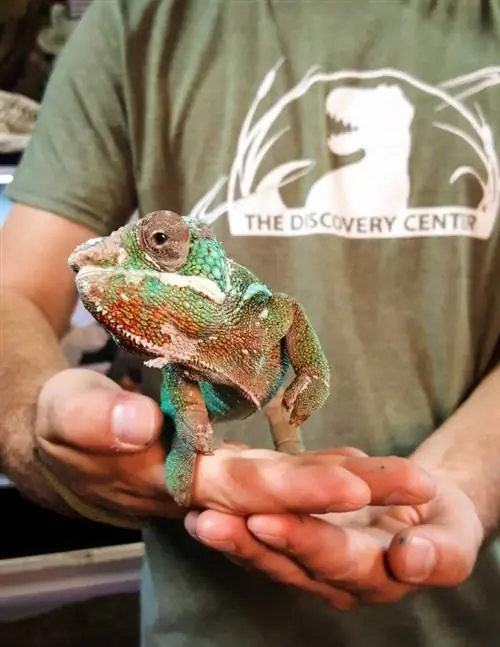 Центр открытий Фресно