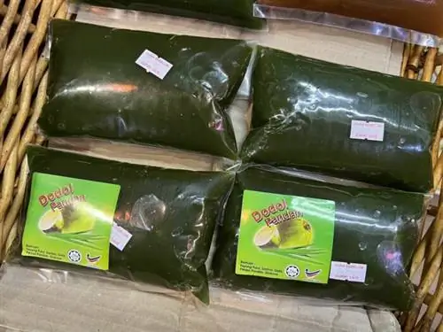 Малайзийские рисовые лепешки